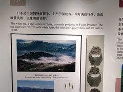 -中国茶叶博物馆(双峰馆区)