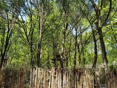 -WeLope紫金山探险公园