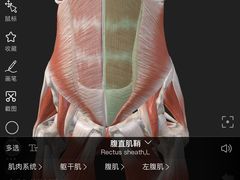 -锐动健身游泳(博地中心店)