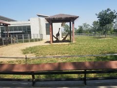 -石家庄市动物园