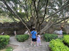 -胡里山炮台