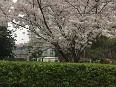 -上海外国语大学(虹口校区)