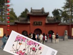 -洛阳白马寺