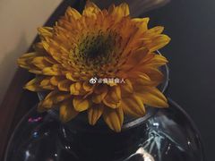 -丘中有甜(乐清·江南里店)