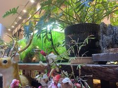 -大书房咖啡(中传国交店)