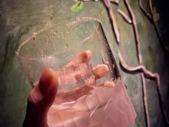 -格兰酒吧Glen Bar