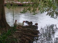 -海珠湖公园
