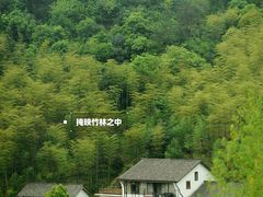 -莫干山风景区