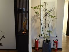 -仰生如卉推拿养生馆(酒仙桥店)