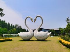 -东平国家森林公园