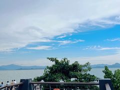 -深圳湾公园(南山区)