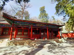 -大觉寺-停车场