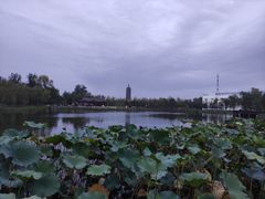 -西海子公园