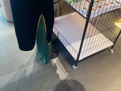 -连鹭海鲜·海肠捞饭·海胆饭(星海店)