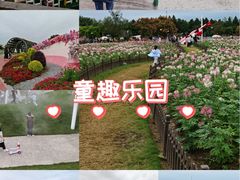 -荷兰花海