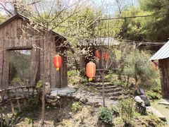 -黑河国家森林公园