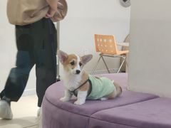 -怪兽屋·羊驼·猫咖·狗咖(俊华广场店)