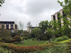 -上海崇明金茂凯悦酒店