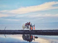 -青海湖国家重点风景名胜区