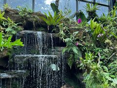 -东莞植物园