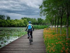-天津东丽湖风景区