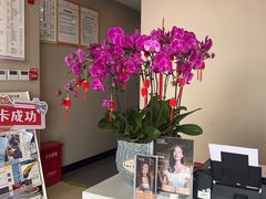 -土豆口腔(凤凰北总店)