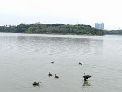 -海珠湖公园