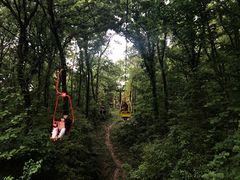 -WeLope紫金山探险公园