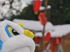 -森波拉奇妙世界