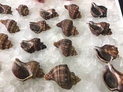 -青岛鑫江温德姆酒店