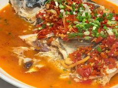 -全乐鱼馆·淳牌有机鱼直营店
