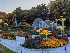 -上海共青森林公园