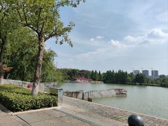 -青枫公园