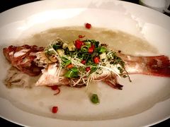 -伯衡55·吉品轩(乌鲁木齐南路店)