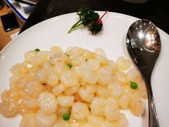 -新吉士·上海菜(浦东LCM置汇旭辉店)