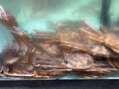 -万龙洲海鲜(大兴绿地缤纷城店)