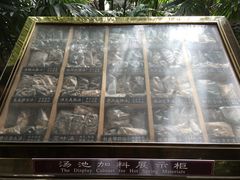 -西安国际创新人才交流中心•药浴温泉