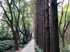 -同里国家湿地公园