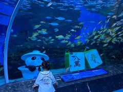 -海合安成都极地海洋公园