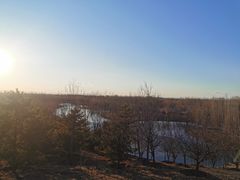 -东郊湿地公园