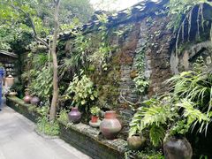 -青城甲(青城山店)