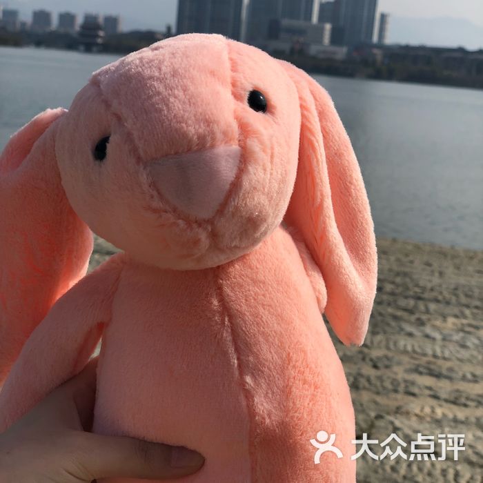 沙田河湿地公园