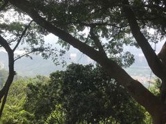 -风云岭森林公园