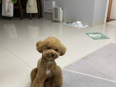 -符离集餐厅(万象城店)
