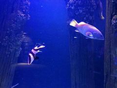 -成都浩海立方海洋公园