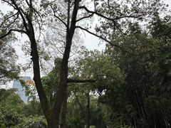 -望江楼公园