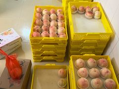 -老袁家蜜桃农场·阳山水蜜桃