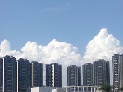 -顺德职业技术大学