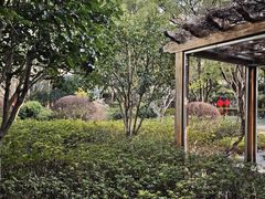 -徐家汇源景区-衡山公园