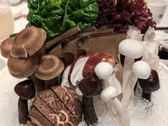 -鲐赏河豚(长寿店)